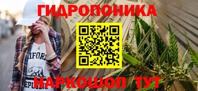 крисы Волжский