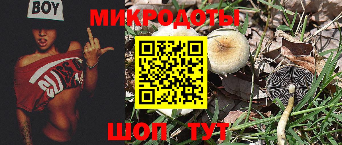 Саянск  Галлюциногенные грибы GOLDEN TEACHER  Вход с VPN 