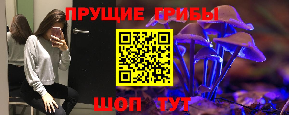 Галлюциногенные грибы MAGIC MUSHROOMS Саянск
